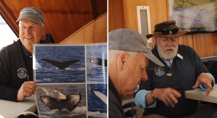Del Hanson (left) used to work as a travel photographer, Ken Tatro as an aerospace engineer. Today the other two show how to distinguish a gray whale from a blue whale