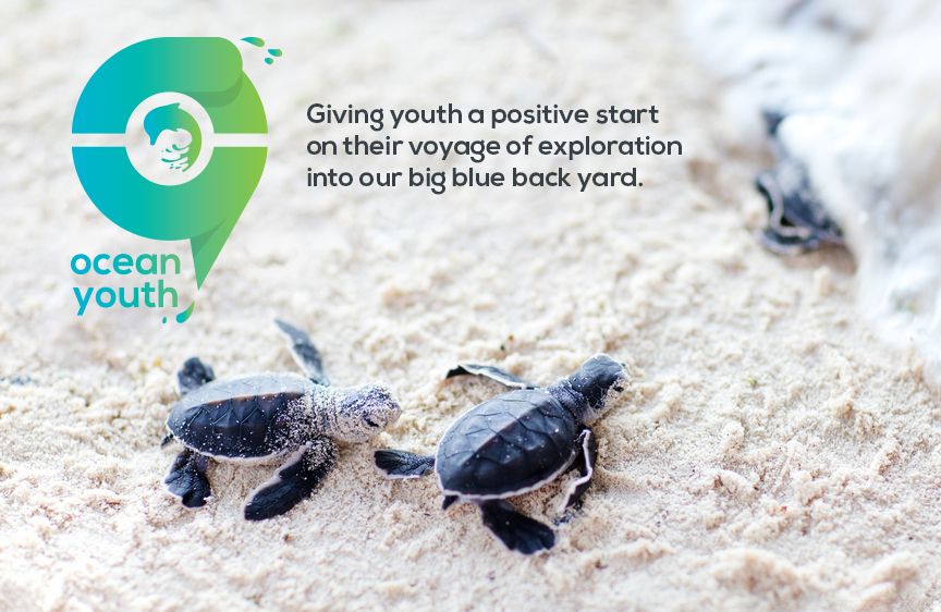 Young passionate ocean lovers wanted! Join our Ocean Youth Ambassador Program.